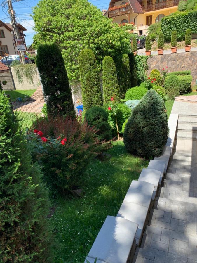 Pensiunea Eva Bed & Breakfast Sovata Exterior photo