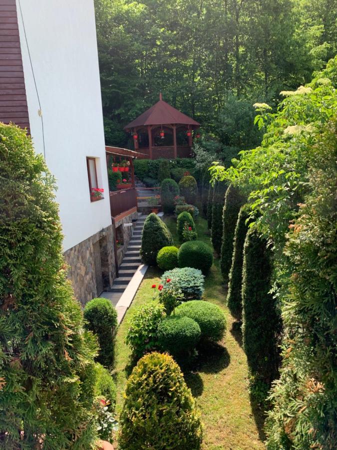 Pensiunea Eva Bed & Breakfast Sovata Exterior photo