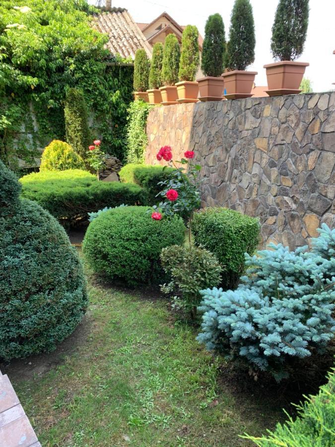 Pensiunea Eva Bed & Breakfast Sovata Exterior photo