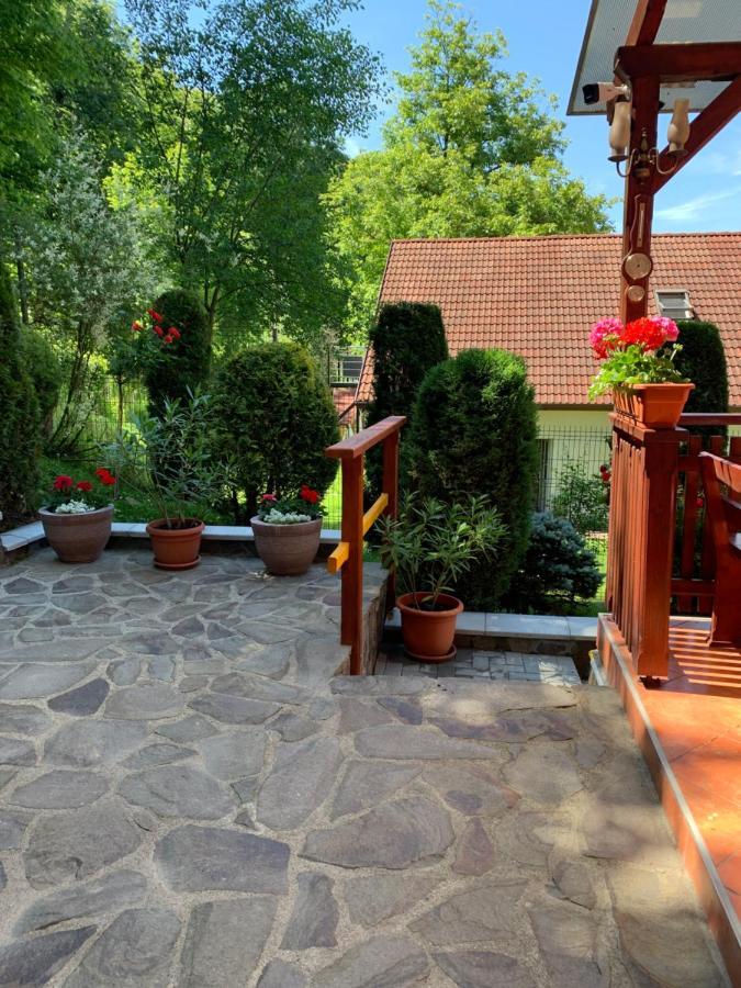 Pensiunea Eva Bed & Breakfast Sovata Exterior photo