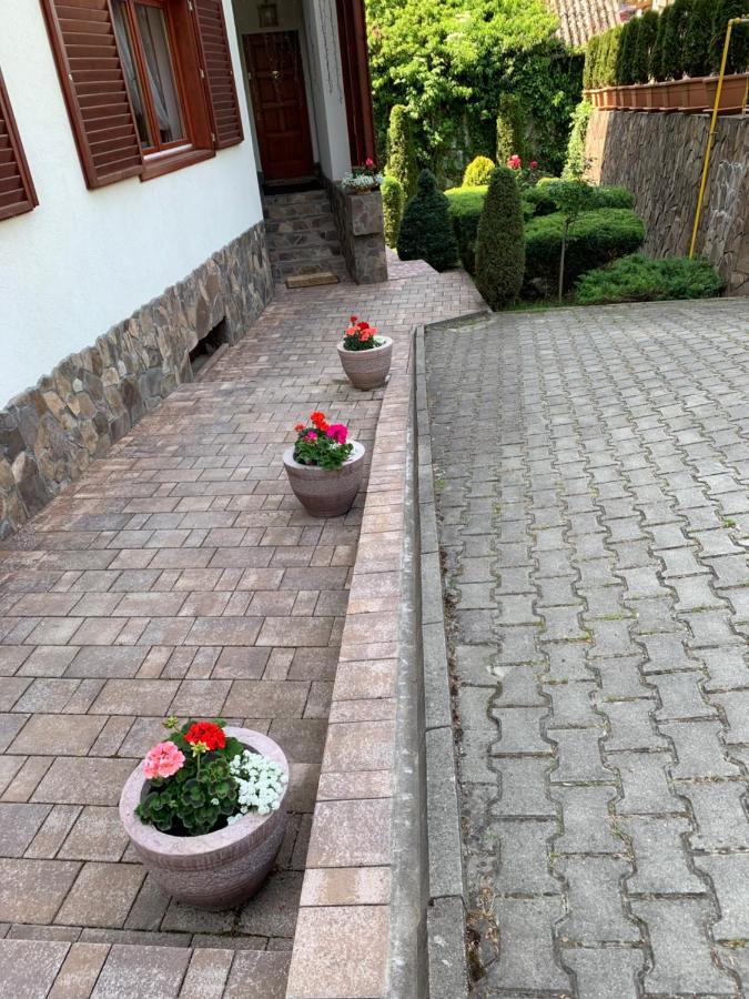 Pensiunea Eva Bed & Breakfast Sovata Exterior photo